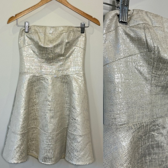 Express Silver Metallic Fit & Flare Mini Strapless Cocktail Dress (sz 2) - Picture 1 of 8